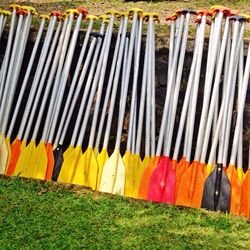 Colorful umbrellas in row