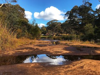 Reflection of trees in lake against sky