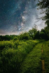 Scenic view of field against sky at night