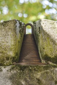 Close-up of moss on stone wall