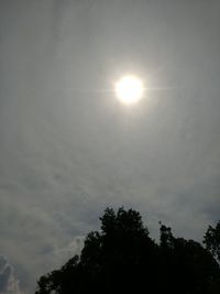 Low angle view of silhouette trees against sky