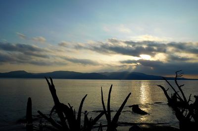 Scenic view of lake against sky during sunset