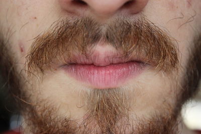 Close-up of young woman