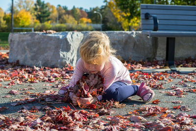 Girl playing with autumn leaves