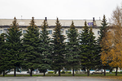 View of trees against sky