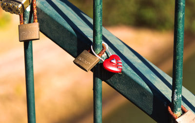 Close-up of padlocks on railing