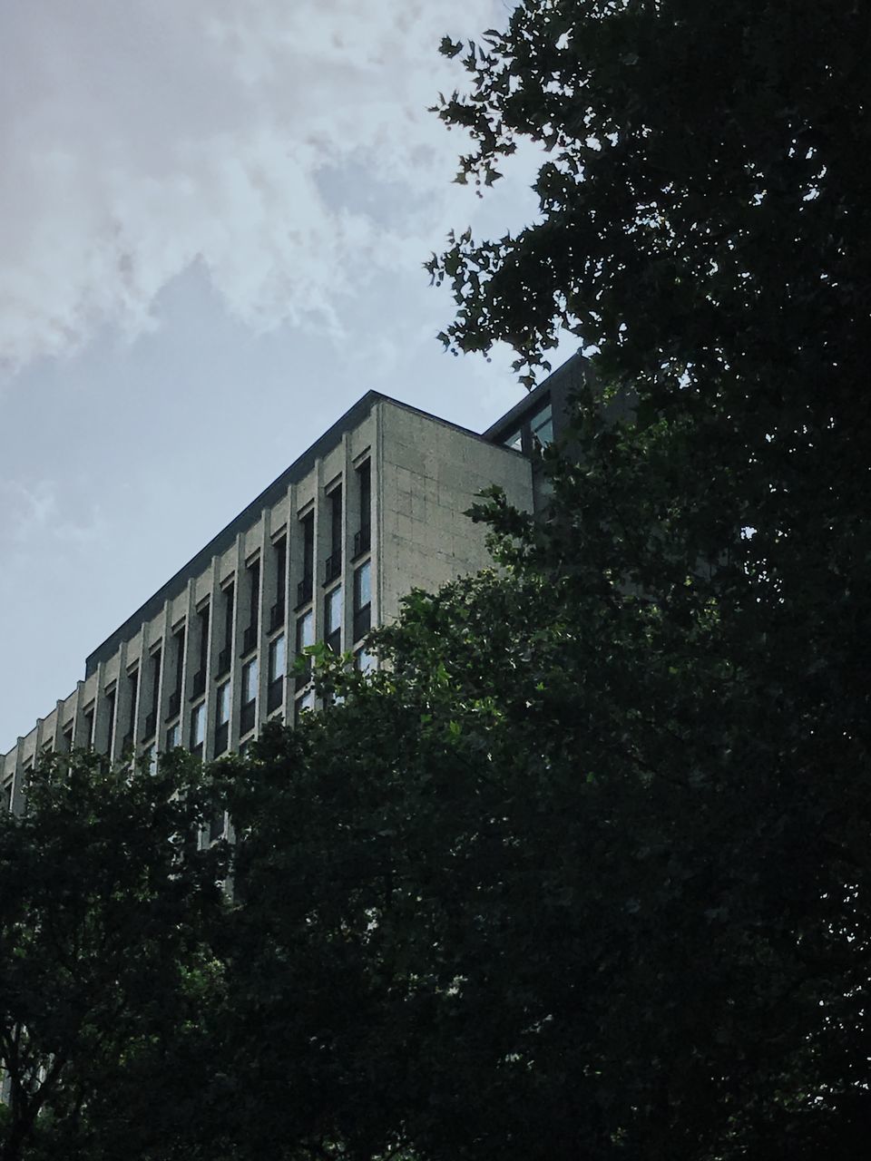 LOW ANGLE VIEW OF TREES AND BUILDING AGAINST SKY