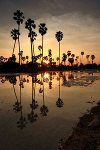 Silhouette palm trees by lake against sky during sunset