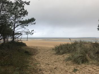 Scenic view of beach against sky