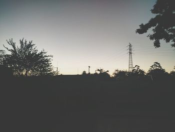 View of trees against clear sky