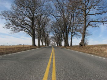 Empty road along trees