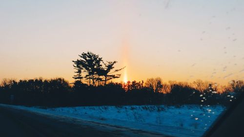 Silhouette trees against clear sky during sunset