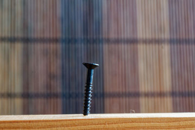 Close-up of nail in wood