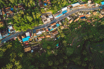 High angle view of street amidst trees in city