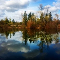 Reflection of trees in lake against sky