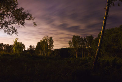 Trees on field against cloudy sky