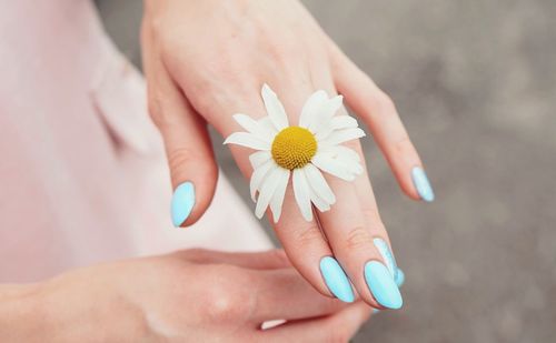 Midsection of woman holding white flower