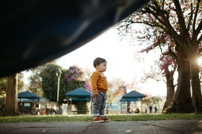 Full length of boy standing against trees