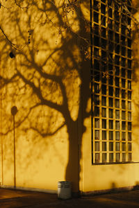 Tree by building against sky during sunset