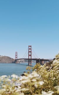 Golden gate bridge over bay of water against clear blue sky