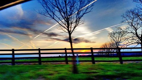 Bare trees on landscape at sunset