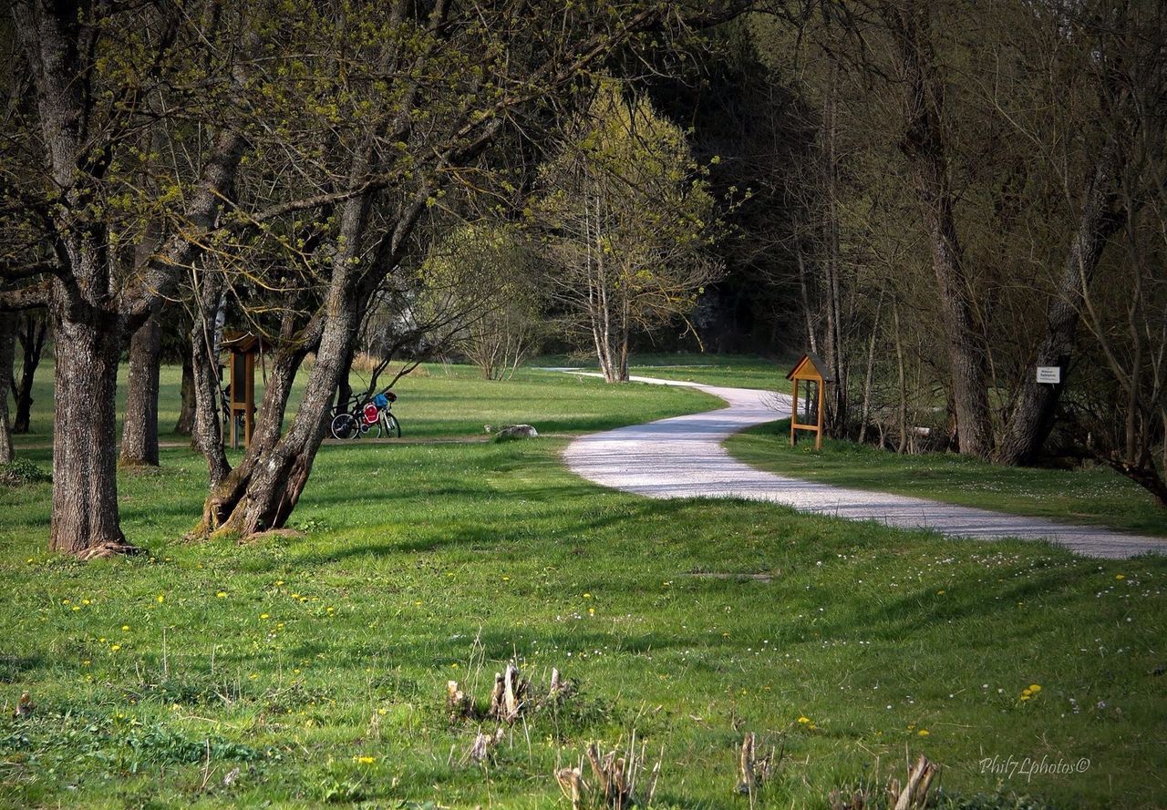 leisure activity, lifestyles, grass, wood - material, rear view, tranquility, person, the way forward, nature, tranquil scene, tree, men, full length, landscape, field, beauty in nature, walking, boardwalk