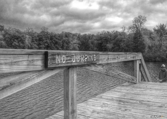 sky, wood - material, tree, text, cloud - sky, wooden, wood, railing, western script, tranquility, cloud, cloudy, tranquil scene, day, outdoors, the way forward, nature, communication, boardwalk, pier