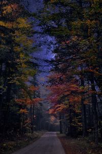 Road amidst trees against sky during autumn