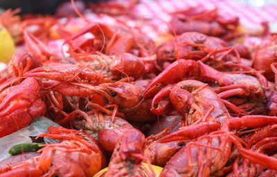 Close-up of red chili peppers for sale in market