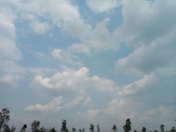 Low angle view of trees against sky