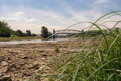 Arch bridge on field against sky