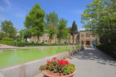View of trees by swimming pool