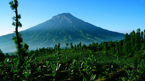 Scenic view of mountains against clear sky