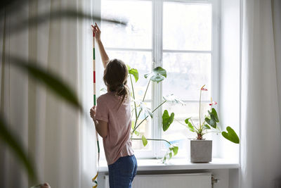 Rear view of fashion designer measuring curtains on wall at home