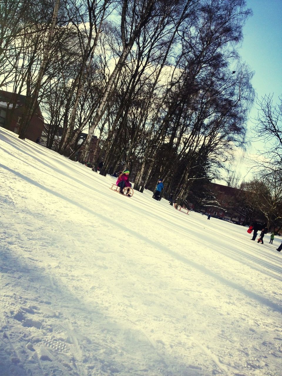 snow, winter, tree, cold temperature, large group of people, lifestyles, leisure activity, season, men, person, walking, weather, bare tree, sky, mixed age range, day, nature, group of people, medium group of people