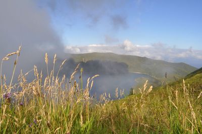 Scenic view of landscape against cloudy sky