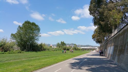 Footpath with trees in background