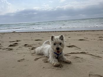 beach