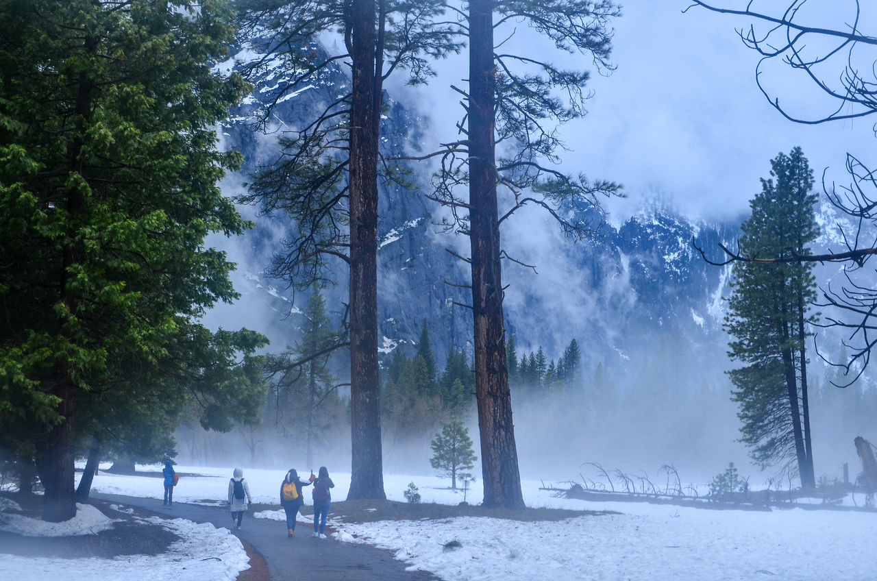 PEOPLE WALKING ON SNOW COVERED LAND