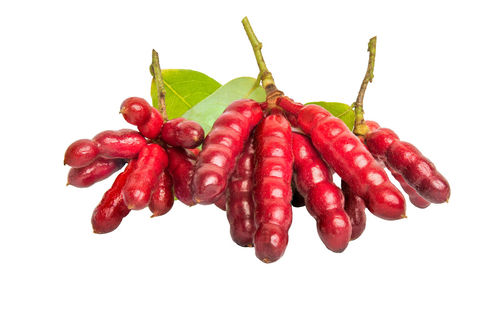 Close-up of red chili peppers against white background