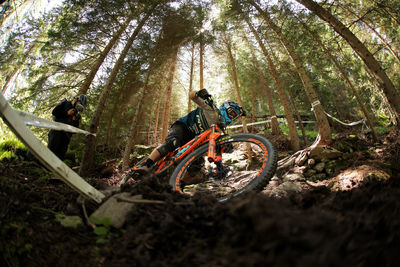 Man riding bicycle in forest