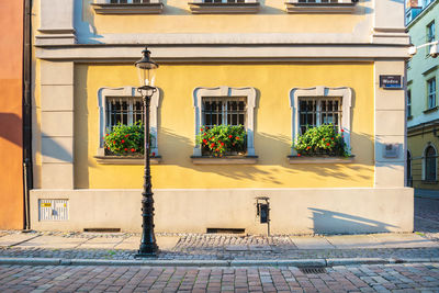 Potted plants on street by building in city