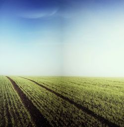 Scenic view of rural landscape