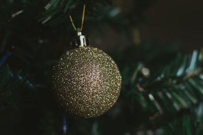 Christmas decorations hanging on tree. christmas tree background with golden ball.