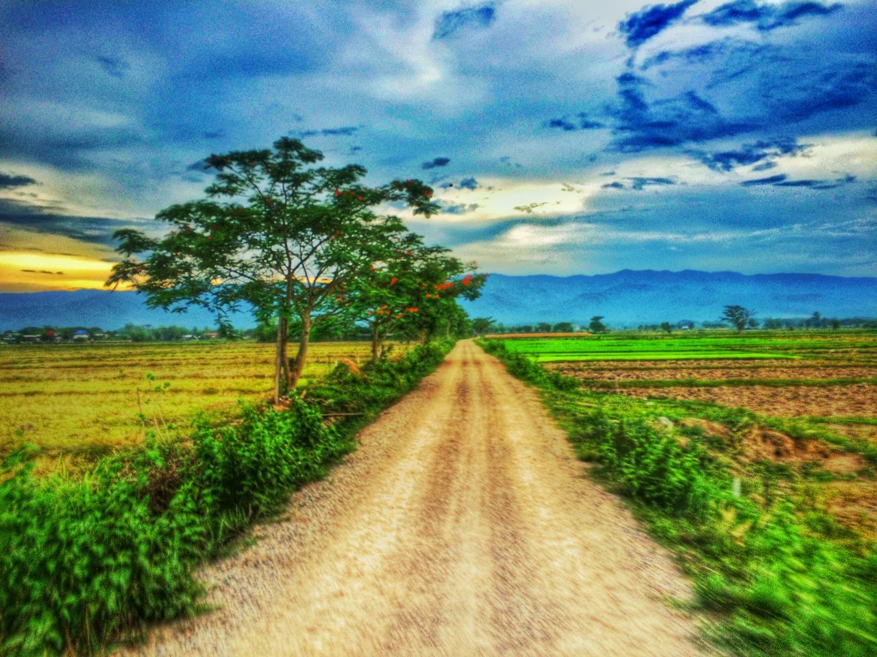 the way forward, sky, landscape, tranquil scene, field, diminishing perspective, tranquility, rural scene, vanishing point, agriculture, cloud - sky, dirt road, nature, scenics, beauty in nature, cloud, growth, grass, farm, road