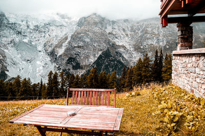 Empty bench in forest during winter