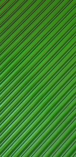 Full frame shot of palm leaf