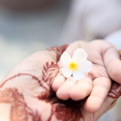 Cropped hands of people holding flower