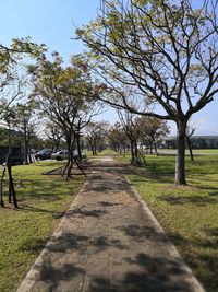 Bare trees on landscape against clear sky