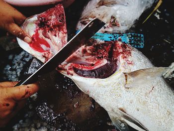 Cropped hand cutting fish at market